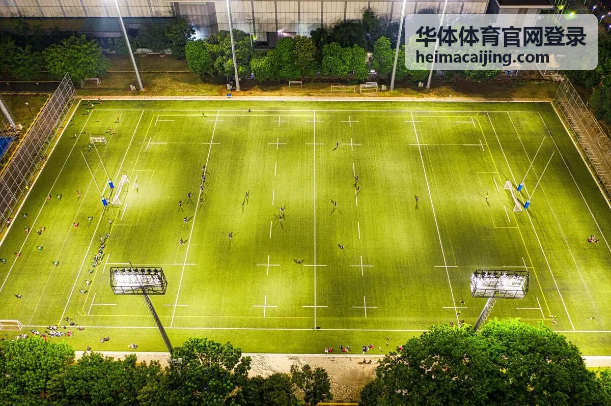 赛事数据速览板块的实时比分面板配图