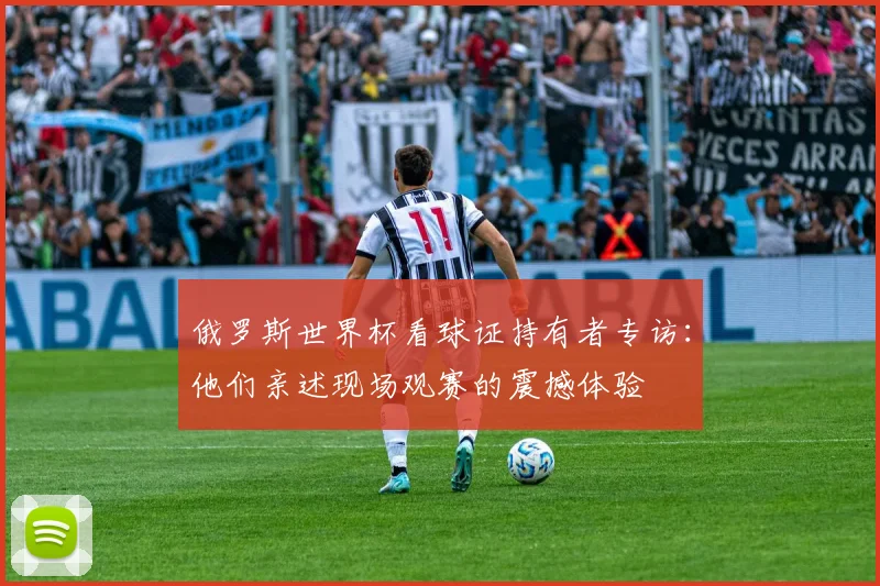 俄罗斯世界杯看球证持有者专访：他们亲述现场观赛的震撼体验