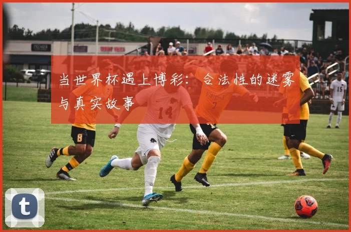 当世界杯遇上博彩：合法性的迷雾与真实故事